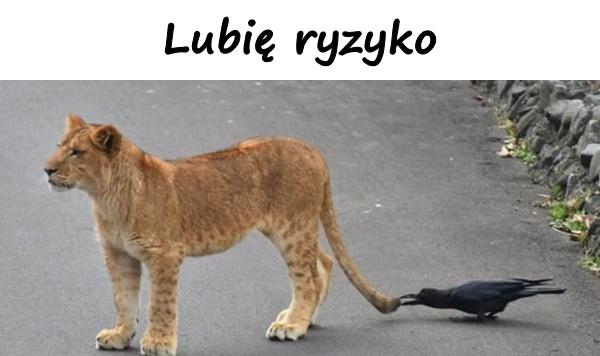 Lubię ryzyko