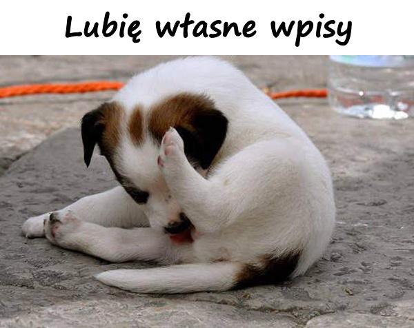 Lubię własne wpisy