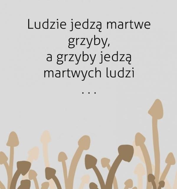 Ludzie jedzą martwe grzyby, a grzyby jedzą martwych ludzi