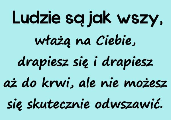 Ludzie są jak wszy, włażą na Ciebie, drapiesz się i