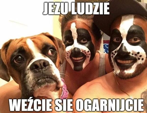 Ludzie weźcie się ogarnijcie