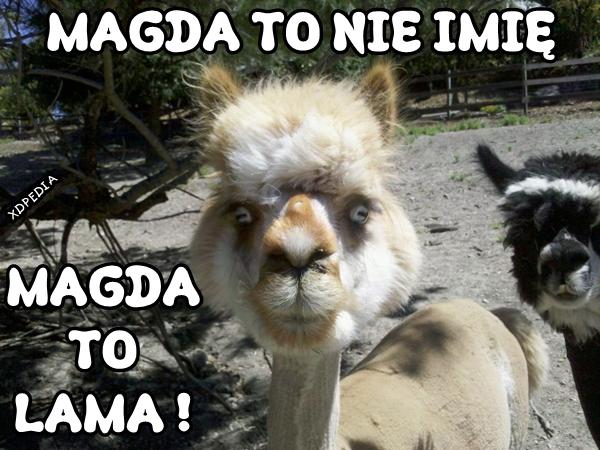 Magda to nie imię. Magda to lama