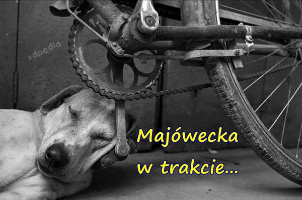 Majówecka w trakcie