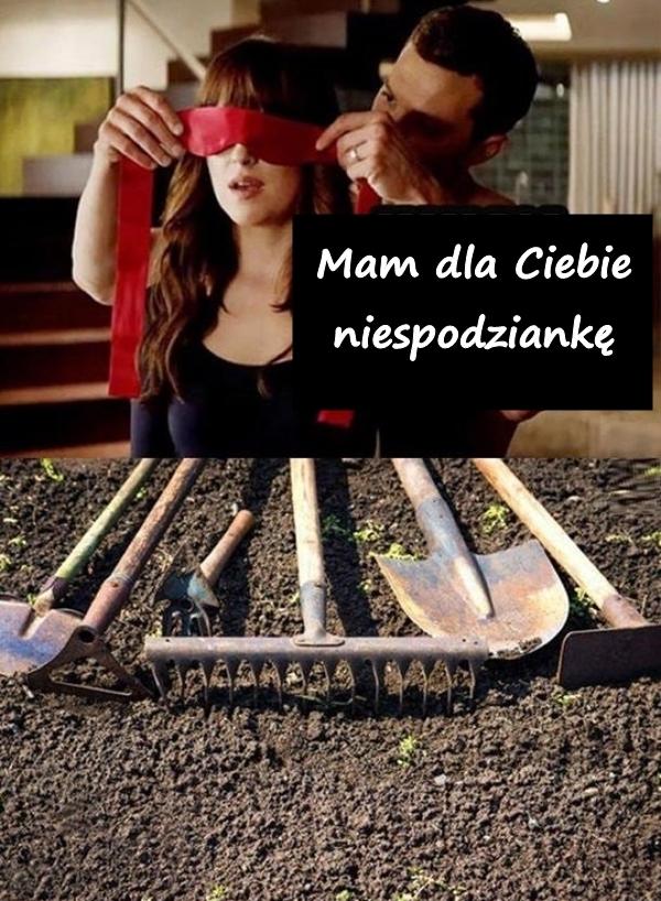 Mam dla Ciebie niespodziankę