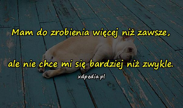 Mam do zrobienia więcej niż zawsze, ale nie chce mi się