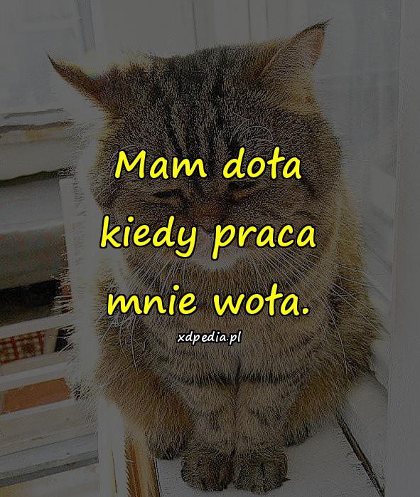 Mam doła kiedy praca mnie woła