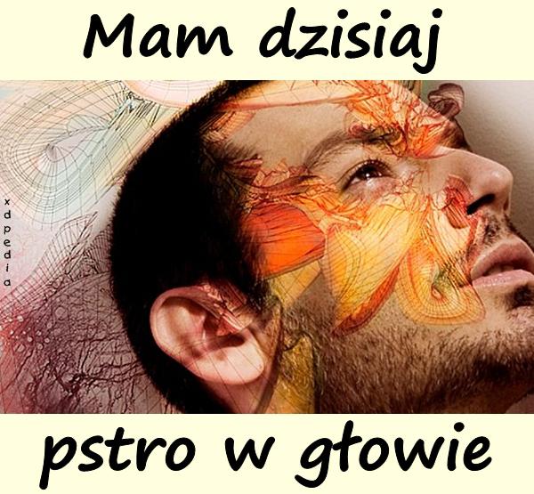 Mam dzisiaj pstro w głowie