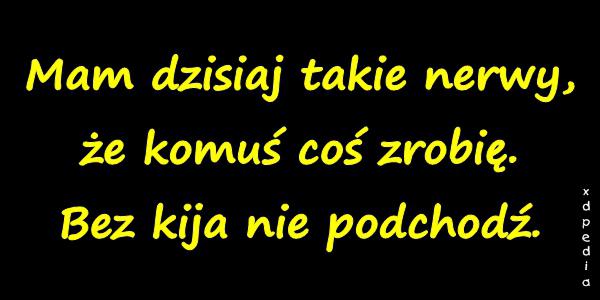 Mam dzisiaj takie nerwy, że komuś coś zrobię. Bez kija nie