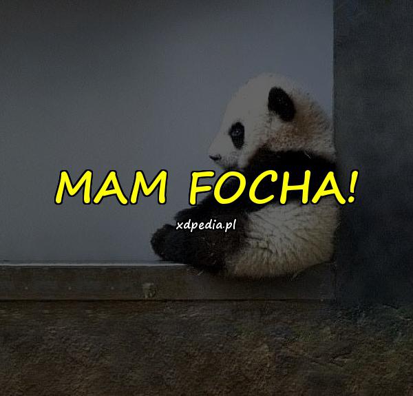 MAM FOCHA