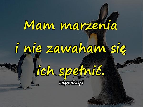 Mam marzenia i nie zawaham się ich spełnić