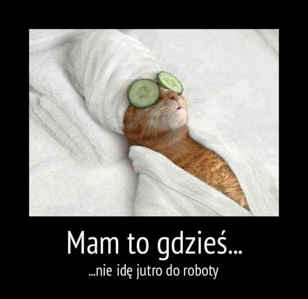 Mam to gdzieś... nie idę jutro do roboty