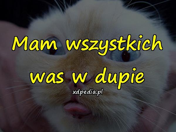 Mam wszystkich was w dupie