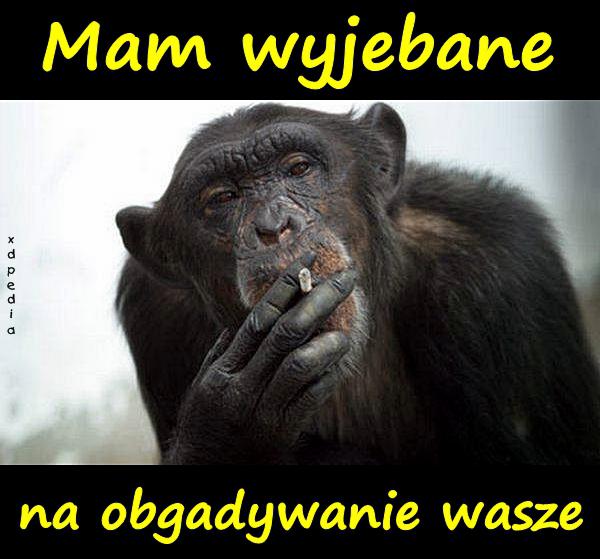 Mam wyjebane na obgadywanie wasze