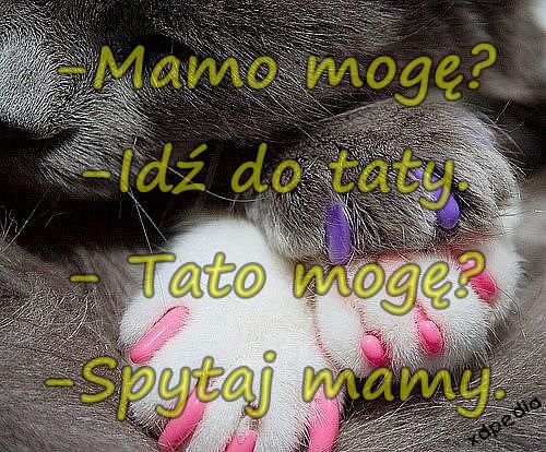 -Mamo mogę? -Idź do taty. - Tato mogę? -Spytaj mamy