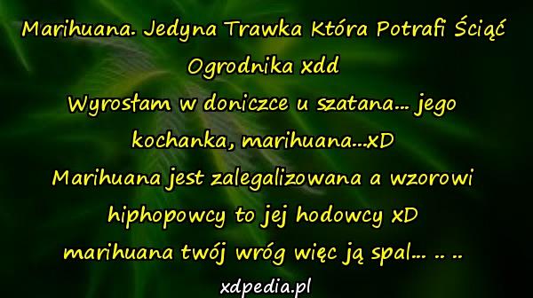 Marihuana. Jedyna Trawka Która Potrafi Ściąć Ogrodnika xdd