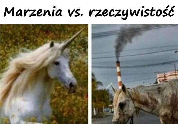 Marzenia vs. rzeczywistość