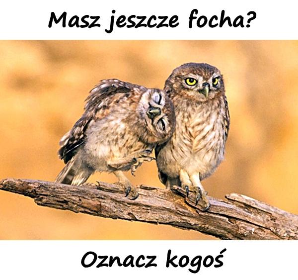 Masz jeszcze focha? Oznacz kogoś