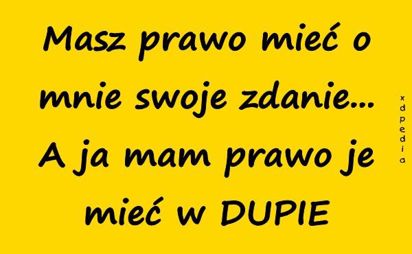 Masz prawo mieć o mnie swoje zdanie... A ja mam prawo je