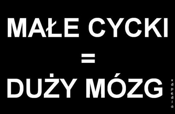 Małe cycki = duży mózg