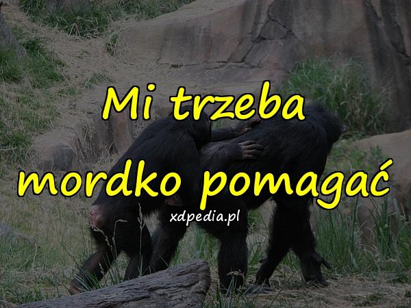 Mi trzeba mordko pomagać