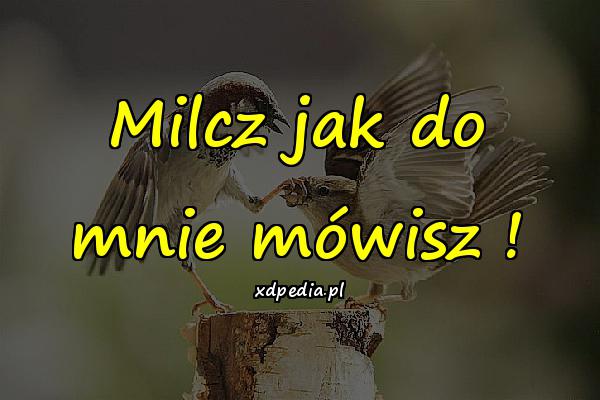 Milcz jak do mnie mówisz