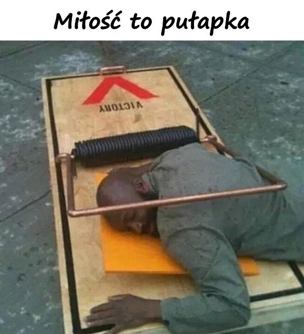 Miłość to pułapka