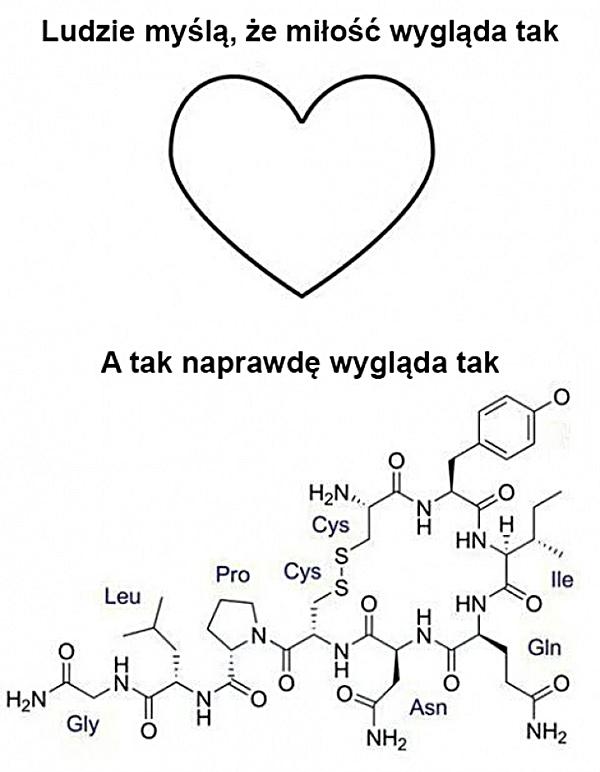 Miłość wygląda tak