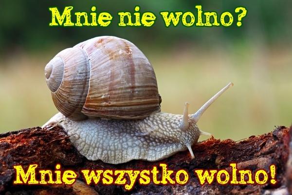 Mnie nie wolno? Mnie wszystko wolno