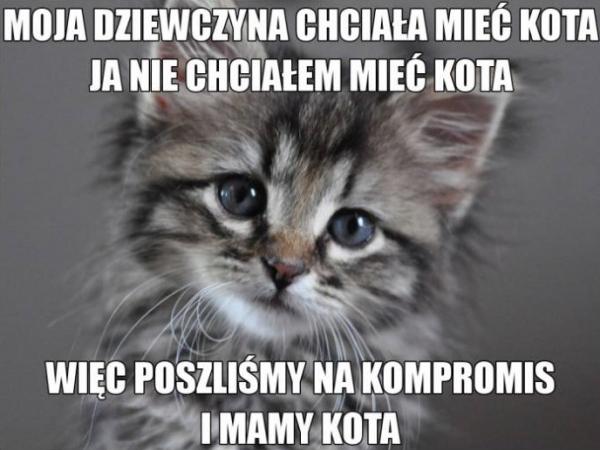 Moja dziewczyna chciała mieć kota, ja nie chciałem mieć