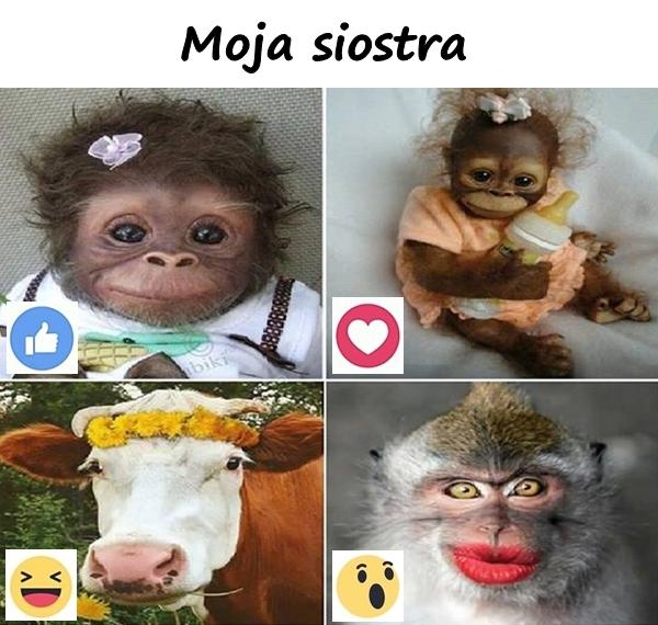 Moja siostra