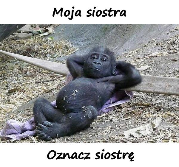 Moja siostra oznacz siostre