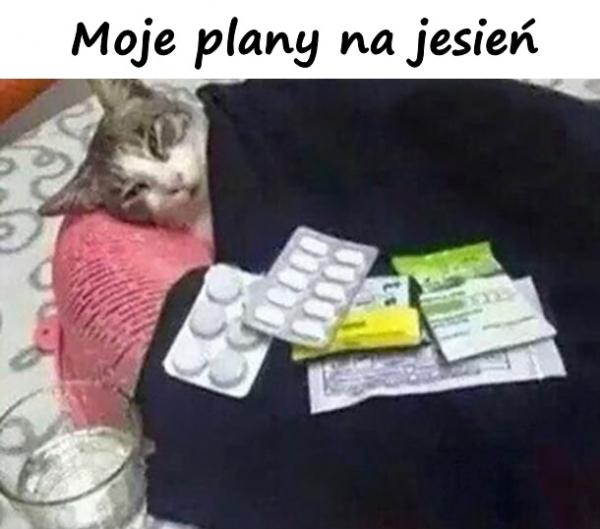 Moje plany na jesień