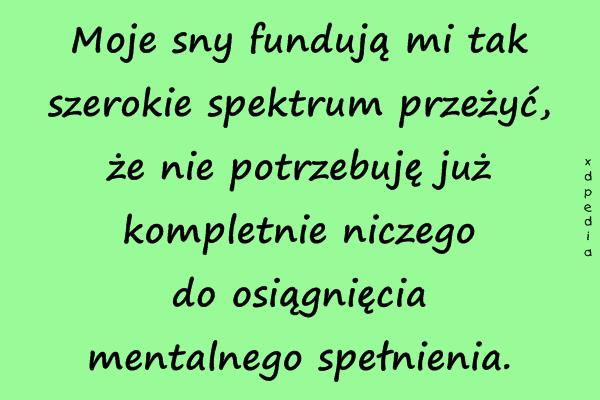 Moje sny fundują mi tak szerokie spektrum przeżyć, że nie