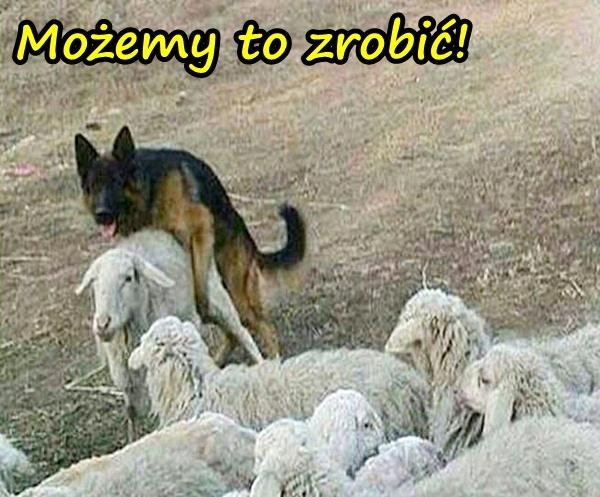 Możemy to zrobić