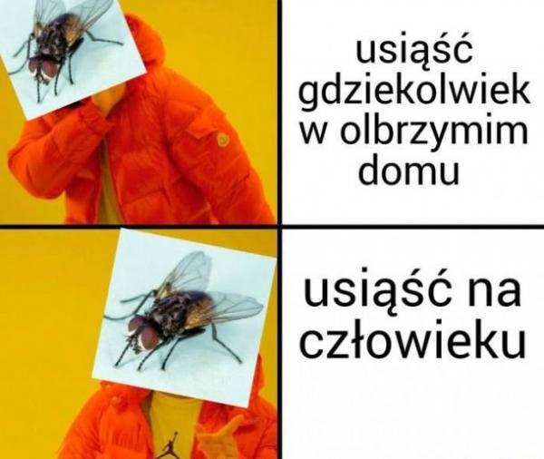 Muchy takie są