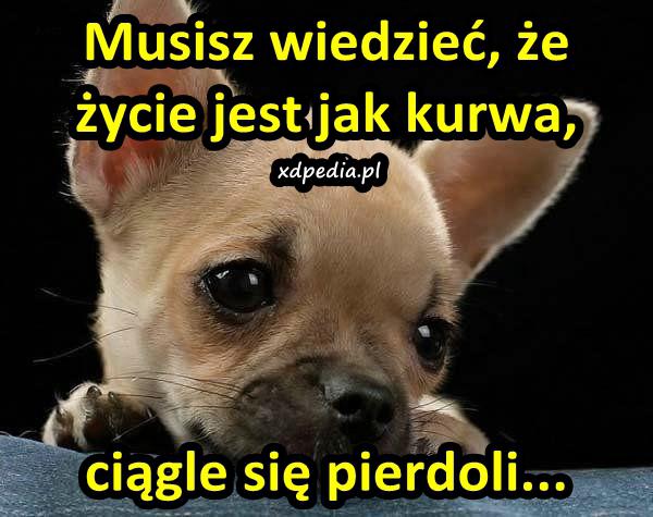 Musisz wiedzieć, że życie jest jak kurrwa, ciągle się