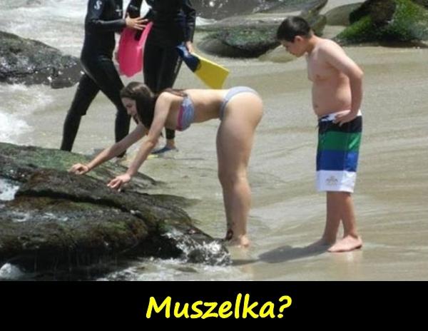 Muszelka