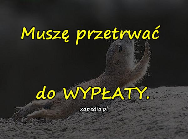 Muszę przetrwać do WYPŁATY