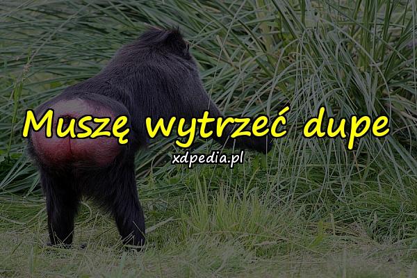 Muszę wytrzeć dupe