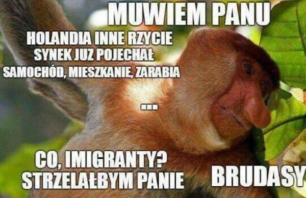 Muwiem Panu: Holndia, inne rzycie, synek już pojechał