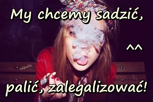 My chcemy sadzić, palić, zalegalizować