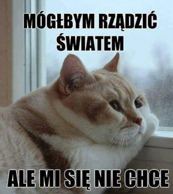 Mógłbym rządzić światem, ale mi się nie chce