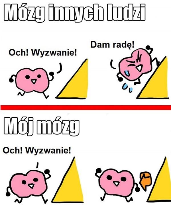 Mój mózg w reakcji na wyzwanie