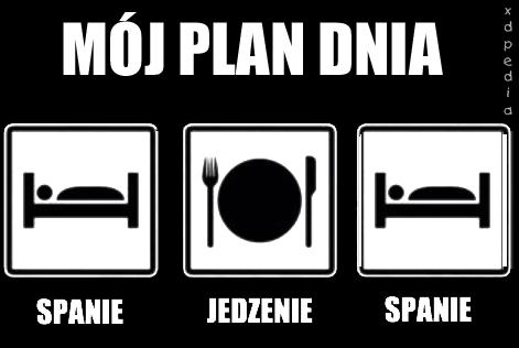 Mój plan dnia: spanie, jedzenie, spanie