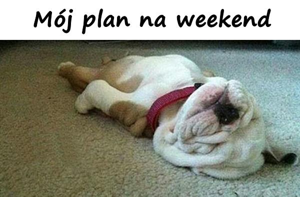 Mój plan na weekend