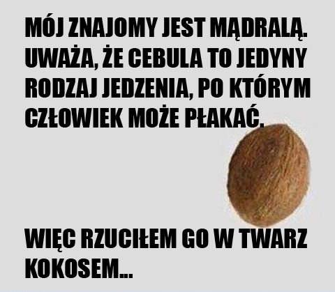 Mój znajomy jest mądralą. Uważa, że cebula to jedyny rodzaj