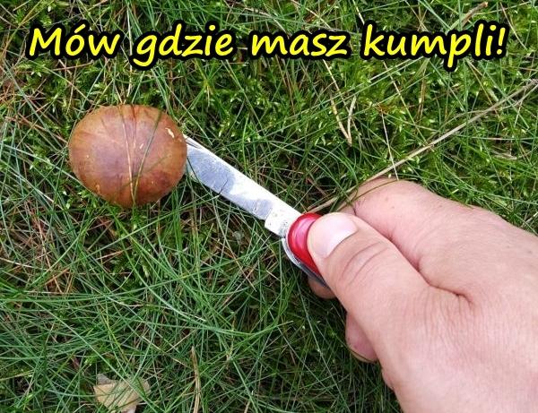 Mów gdzie masz kumpli