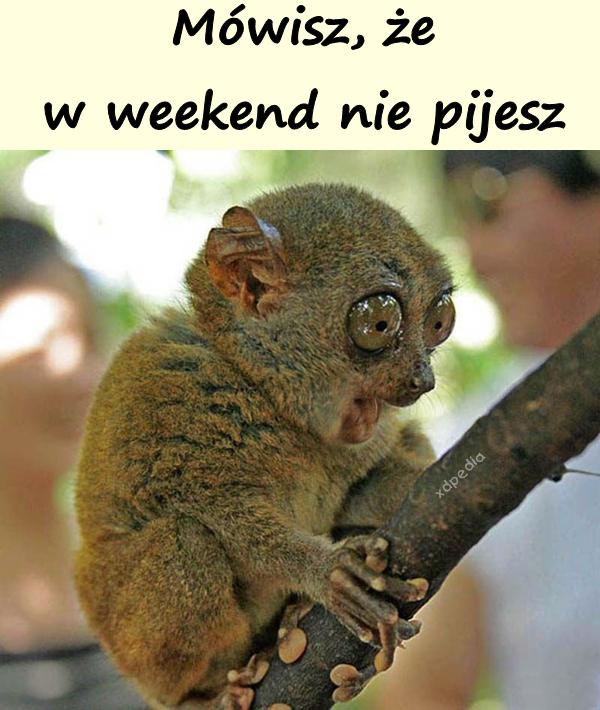 Mówisz, że w weekend nie pijesz