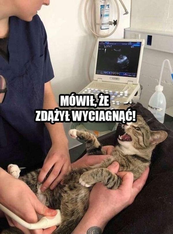 Mówił, że zdążył wyciągnąć