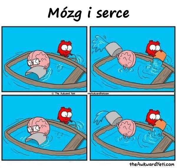 Mózg i serce